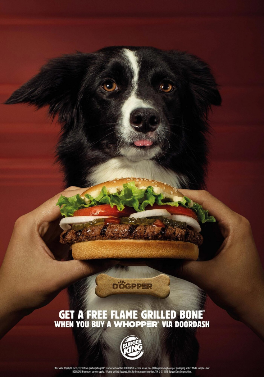 burger king; menu dogpper; harim pet food; cún cưng; hamburger, burger king hàn quốc ra mắt thực đơn cho cún cưng