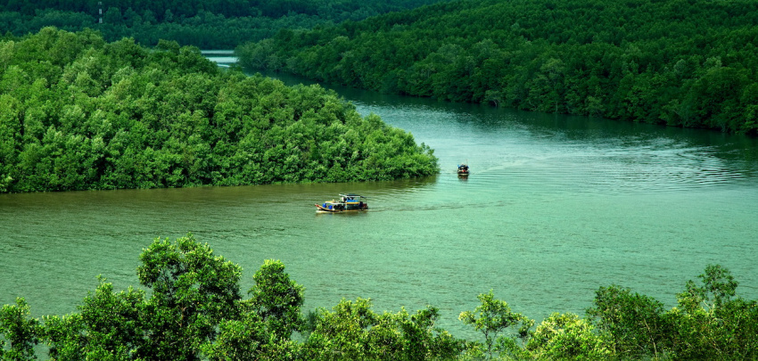 Khu Dự trữ sinh quyển rừng ngập mặn Cần Giờ - “Lá phổi xanh” của TP.HCM