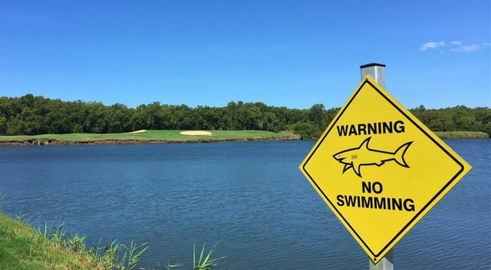 Bên trong sân golf duy nhất có hồ cá mập hung tợn nguy hiểm nhất thế giới