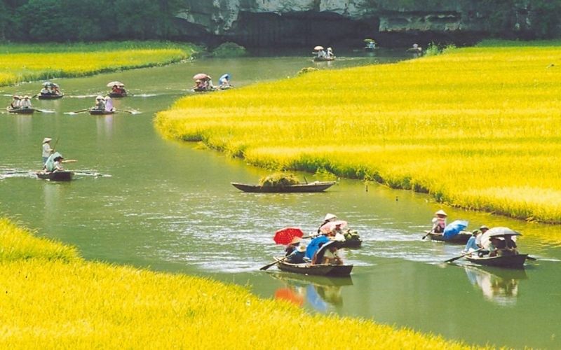 Kinh nghiệm du lịch Hoa Lư Ninh Bình cho người lần đầu mới đi