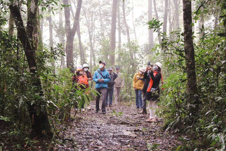 Vườn Quốc gia Bidoup – Núi Bà: Về lắng nghe hơi thở của rừng