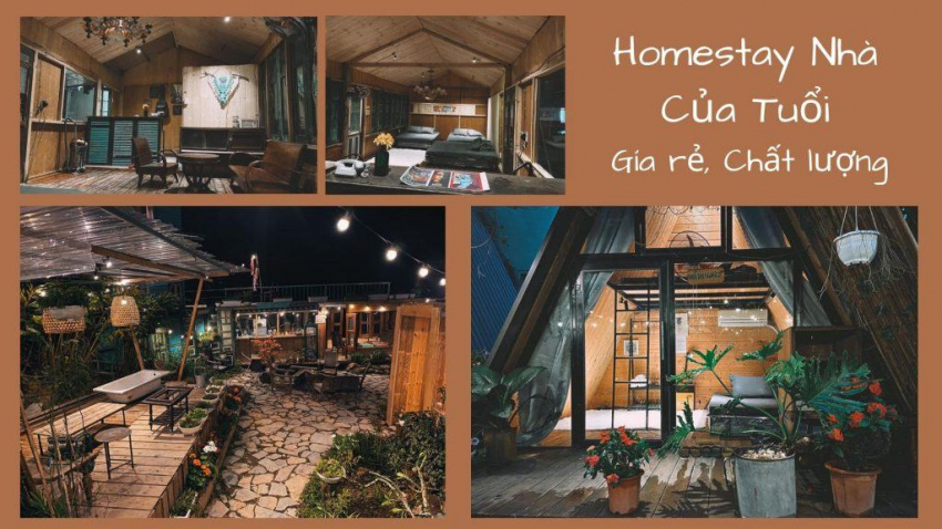 top 30 homestay tam đảo vĩnh phúc giá rẻ view đẹp để ngắm mây núi