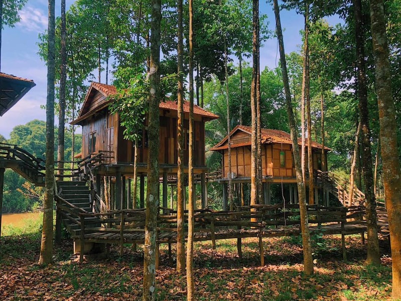 Green Bamboo Lodge Resort – Giấc mộng yên bình giữa rừng sâu