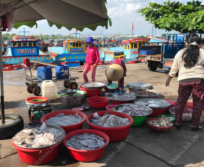 chợ hải sản vũng tàu: kinh nghiệm đi mua hải sản ngon