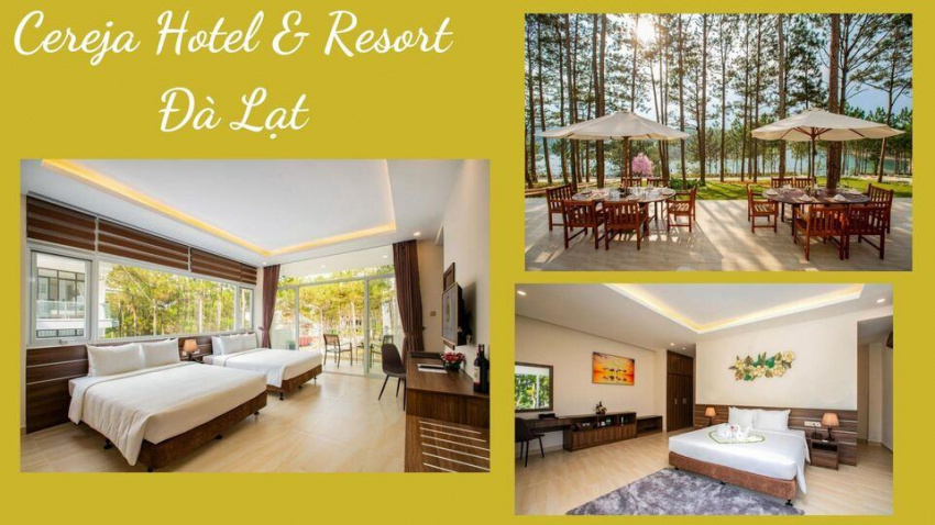 top 20 resort đà lạt giá rẻ đẹp gần hồ tuyền lâm view rừng thông tốt nhất