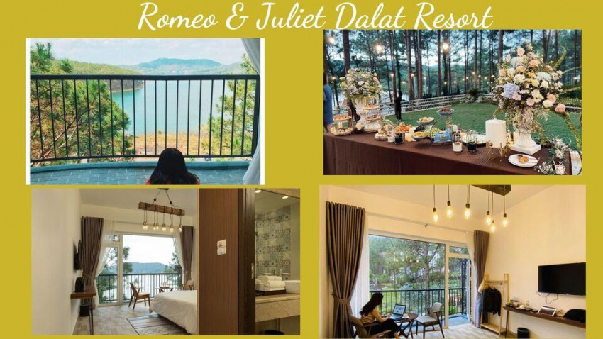 top 20 resort đà lạt giá rẻ đẹp gần hồ tuyền lâm view rừng thông tốt nhất