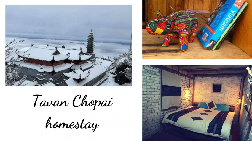 Khám phá Tavan Chopai Homestay: địa điểm săn mây cực đẹp tại Sapa