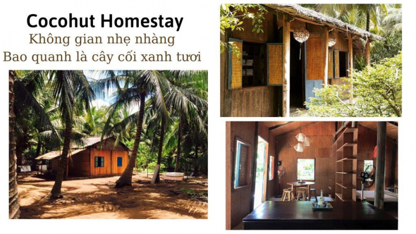 Top 10 Homestay gần Sài Gòn giá rẻ nhất không gian xanh cực “chill”