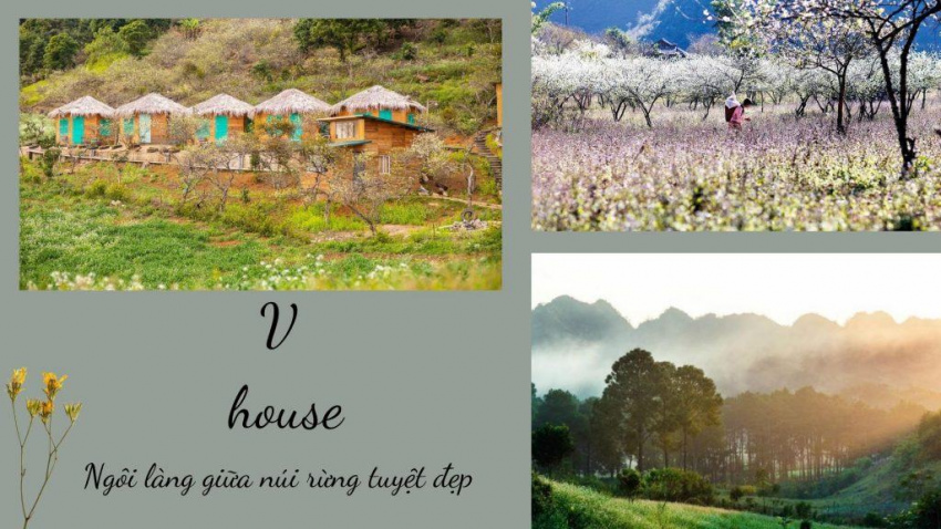 top 20 homestay mộc châu sơn la giá rẻ đẹp view núi rừng gần đồi chè