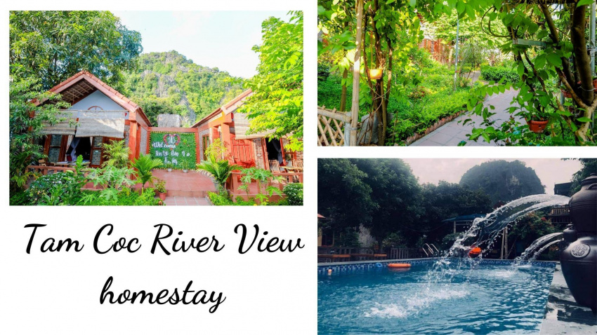 review tam coc river view homestay: thông tin và bảng giá chi tiết