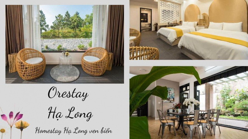 Top 20 Homestay Quảng Ninh giá rẻ đẹp gần biển và trung tâm thành phố