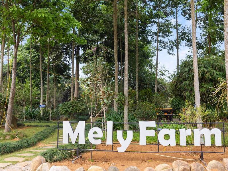 Mely Farm Homestay – Thả hồn giữa “trái tim của những hối hả”