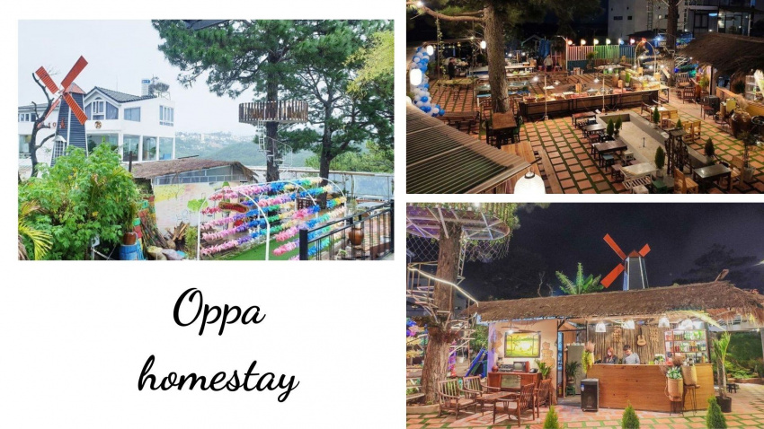 review oppa homestay đà lạt: view rừng thông cực đẹp, giá rẻ dưới 500k
