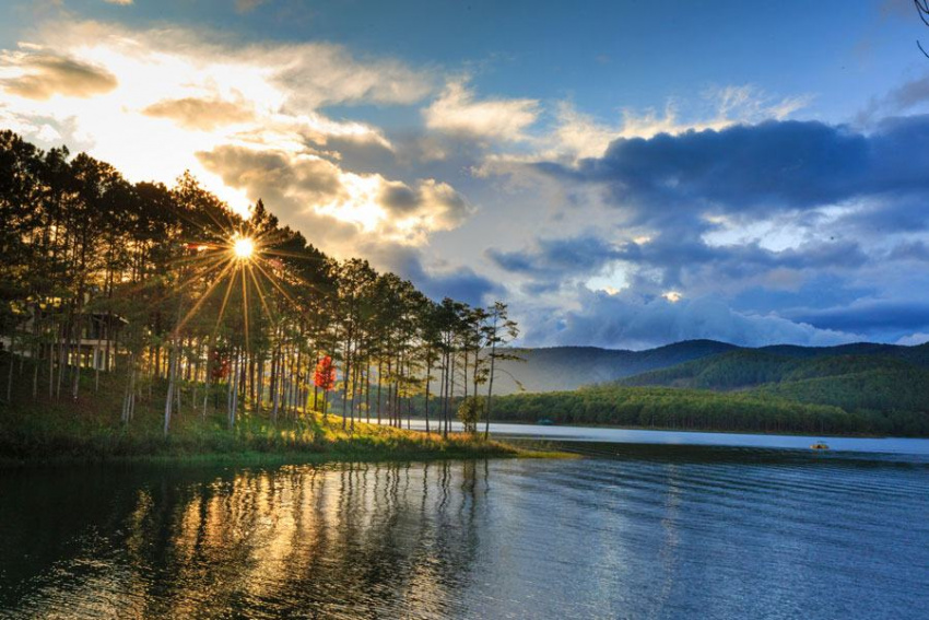 review oppa homestay đà lạt: view rừng thông cực đẹp, giá rẻ dưới 500k