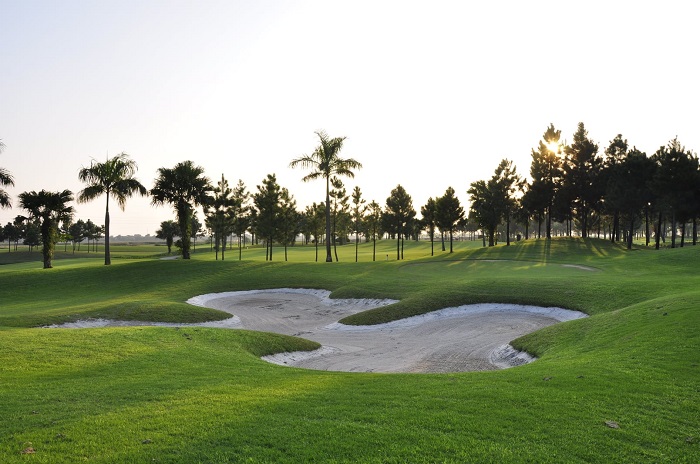 khám phá 4 sân golf tuyệt đẹp tại vĩnh phúc được nhiều golfer yêu thích