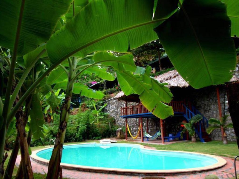 banana and rose homestay – rừng nhiệt đới giữa bán đảo tuần châu
