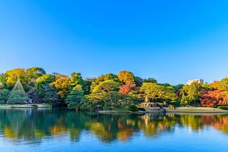 12 địa điểm tuyệt vời nhất để tận hưởng mùa thu ở Tokyo