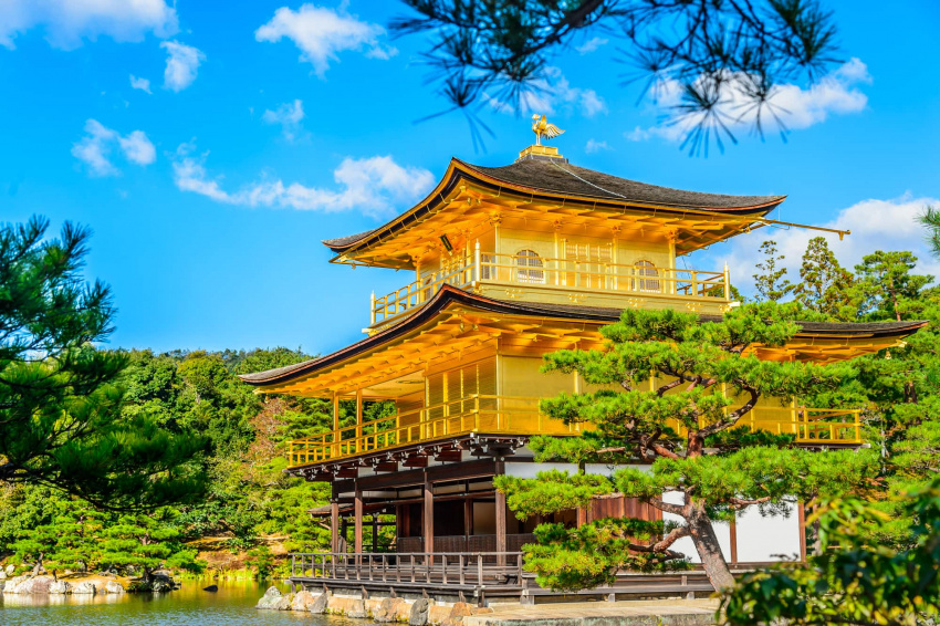 những địa điểm nên ghé tới tại kyoto, chùa kinkakuji, chùa vàng kyoto, nhật bản, ngôi chùa dát vàng nổi tiếng bậc nhất cố đô kyoto: cảnh đẹp suốt 4 mùa