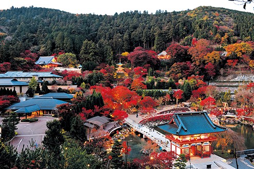 OSAKA – Top 5 địa điểm ngắm hoa anh đào đẹp nhất năm 2020