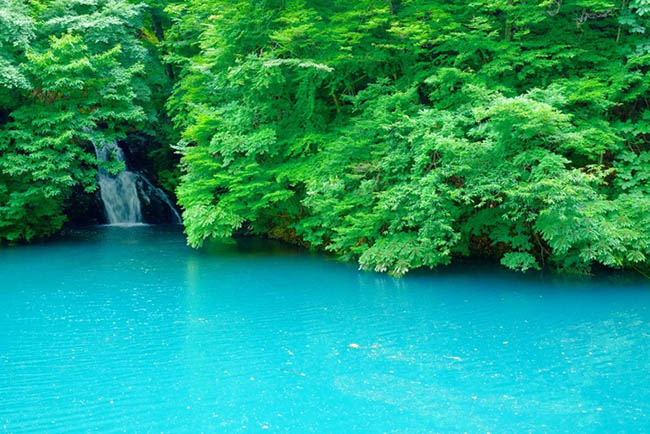 onsen vùng kanto, onsen đẹp nhất nhật bản, suối nước nóng ở nhật, nhật bản, top những suối nước nóng đẹp nhất nhật bản bạn không thể bỏ lỡ trong mùa thu này