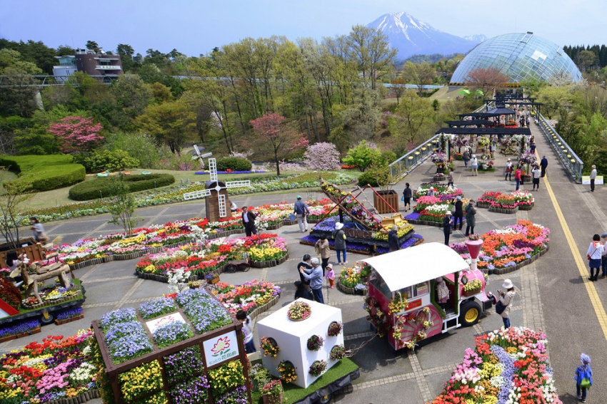những nơi ngắm hoa ở vùng kansai, công viên hoa kuju, cầu thang hoa awaji yumebutai, trang trại sera kogen, công viên đảo nokonoshima, công viên hoa tottori, nhật bản, top 5 địa điểm ngắm hoa đẹp nhất vùng kansai vào mùa xuân, bạn đừng bỏ lỡ!