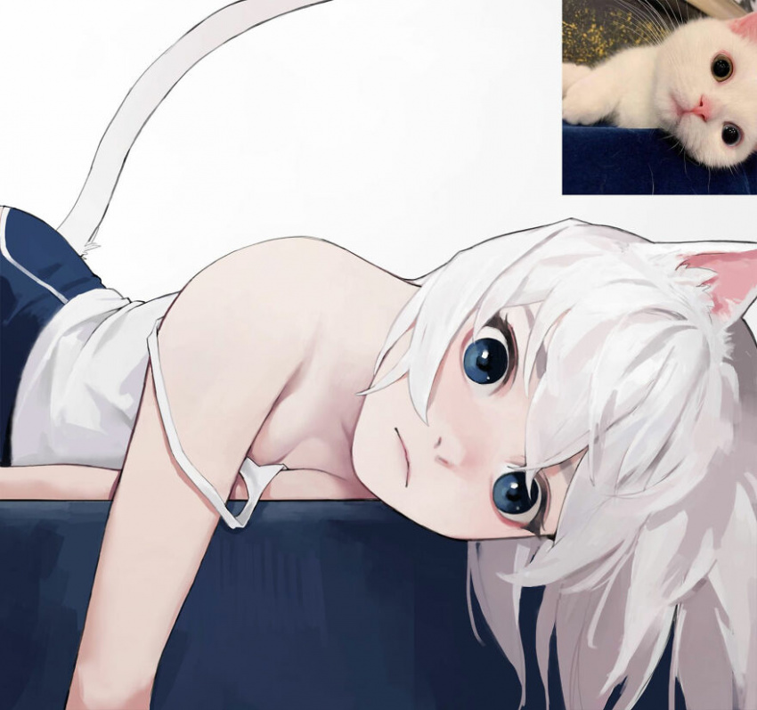 Mèo sẽ trông như thế nào nếu biến thành những cô gái trong anime?