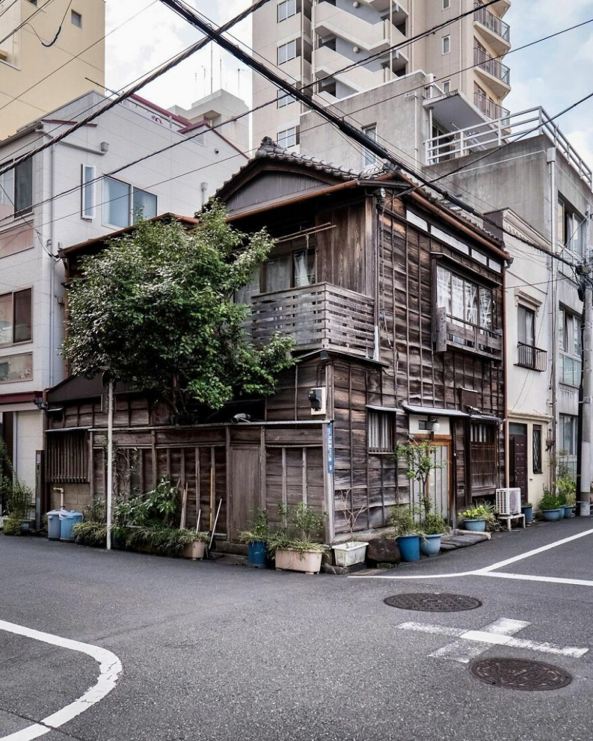 Những ngôi nhà cổ có tuổi đời trăm năm lọt thỏm giữa phố xá hiện đại Nhật Bản