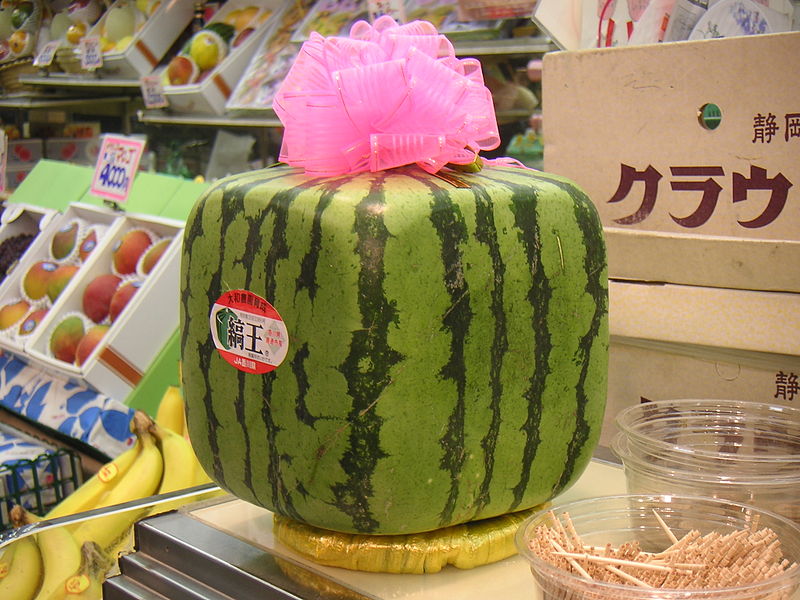Loại dưa hấu kỳ lạ ở Nhật Bản, giá đắt, chỉ có thể “ăn bằng mắt”, để một năm không hư