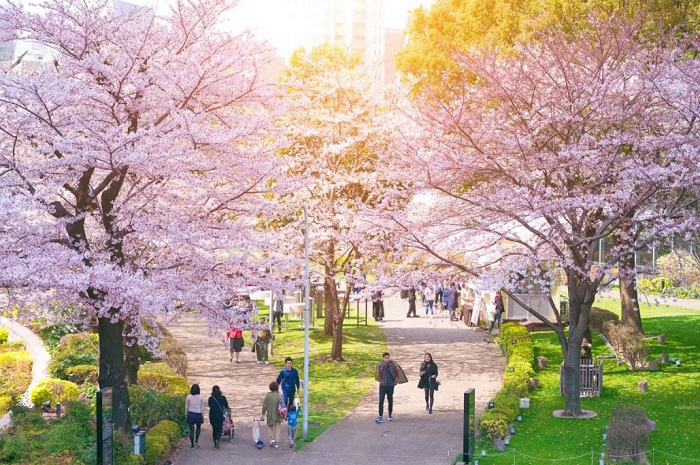 địa điểm du lịch nước ngoài tháng 4: ngắm hoa anh đào, thành phố hùng vĩ và nông thôn yên bình