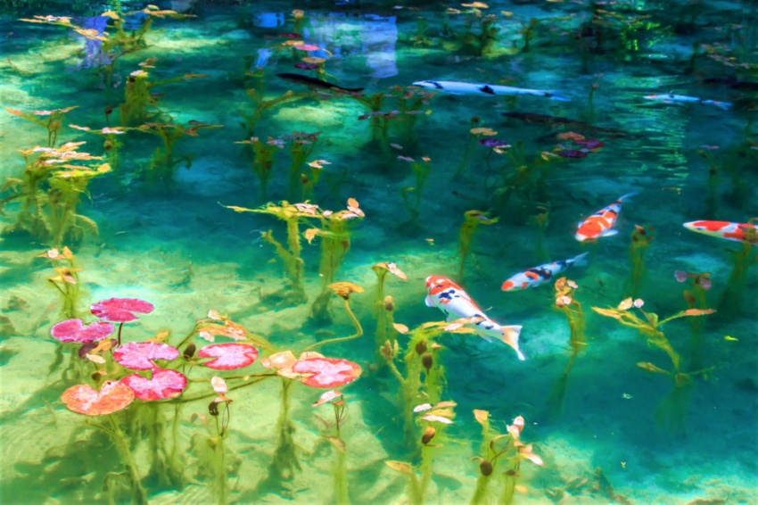 GIFU – Hồ nước trong veo đẹp tựa bức tranh nghệ thuật