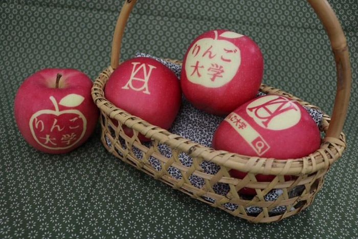 Nhật sử dụng ánh sáng mặt trời để biến những quả táo thành tác phẩm nghệ thuật có thể ăn được