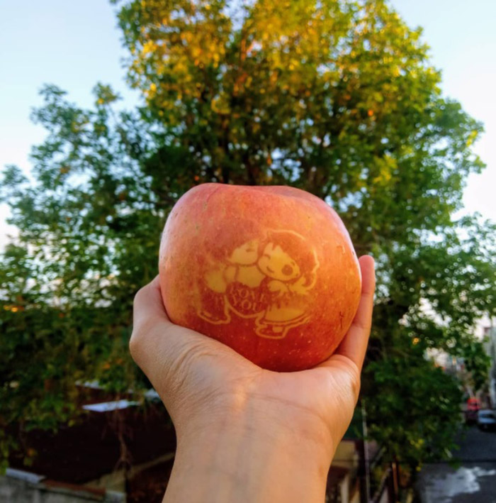 kỹ thuật mojie ringo, táo nhật, táo aomori, nhật bản, nhật sử dụng ánh sáng mặt trời để biến những quả táo thành tác phẩm nghệ thuật có thể ăn được