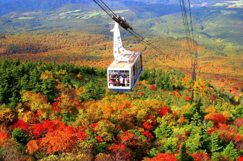 mùa thu ở nhật, địa điểm ngắm lá đỏ đẹp nhất nhật bản, núi phú sĩ, nhật bản, 7 địa điểm tuyệt đẹp vừa có thể ngắm lá đỏ vừa ngắm núi phú sĩ cùng lúc