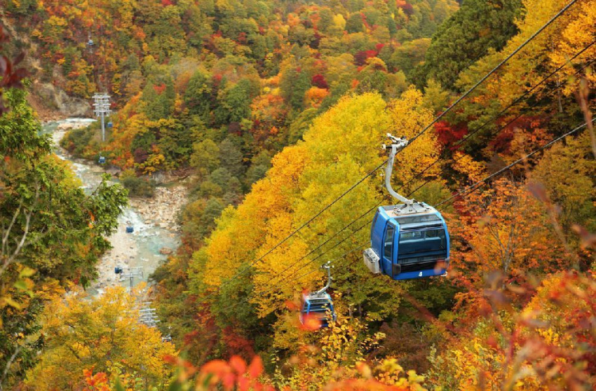 mùa thu ở nhật, địa điểm ngắm lá đỏ đẹp nhất nhật bản, núi phú sĩ, nhật bản, 7 địa điểm tuyệt đẹp vừa có thể ngắm lá đỏ vừa ngắm núi phú sĩ cùng lúc
