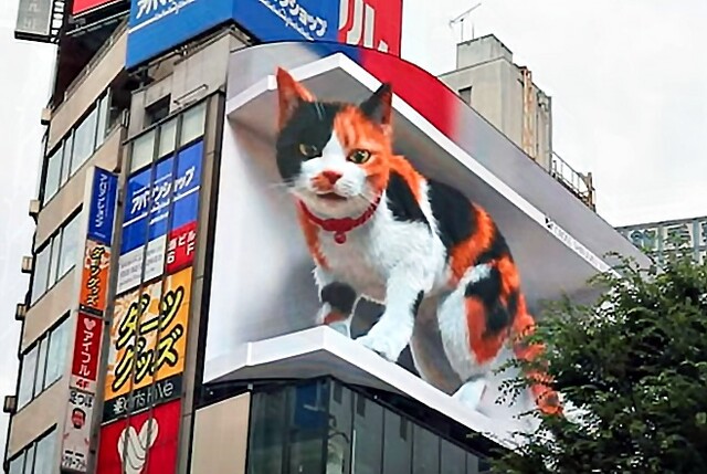 Lần đầu xuất hiện tại Tokyo, chú mèo 3D khiến người đi đường sửng sờ vì quá thật