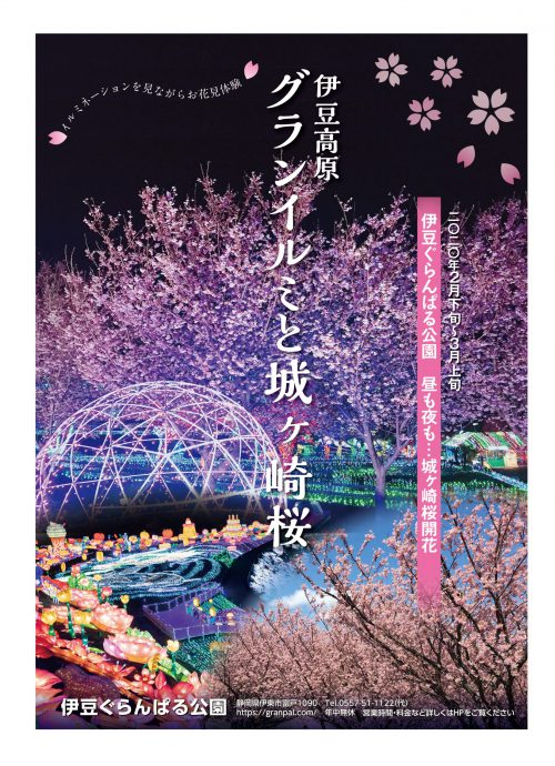 lễ hội ánh sáng, izu, illumination, sakura matsuri, sakura, nhật bản, shizuoka – choáng ngợp với ánh đèn led rực rỡ với sắc sakura, chỉ có ở cao nguyên izu