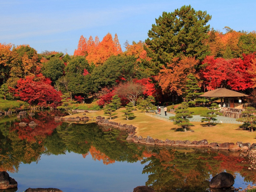 lễ hội mùa thu ở nhật bản, mùa thu ở nhật nên đi đâu, ngắm lá đỏ ở tokyo, ngắm lá đỏ ở các ngôi đền, địa điểm ngắm lá đỏ đẹp nhất nhật bản, nhật bản, 7 địa điểm ngắm lá đỏ đẹp nhất nhật bản năm 2021