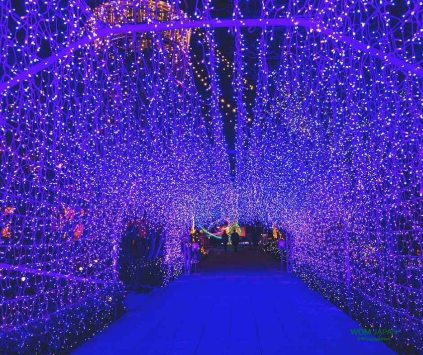 shonan of jewel, shonan houseki, fujisawa, đèn illumination, lễ hội ánh sáng, kanto, kanagawa, enoshima, tokyo, nhật bản, enoshima shonan of jewel 2021 – ánh sáng “châu báu” đẹp xuất sắc, đứng vị trí no.2 nhật bản