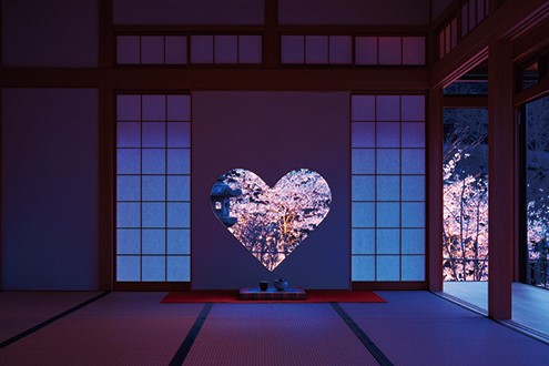 KYOTO – 5 địa điểm ngắm hoa anh đào đẹp nhất năm 2020