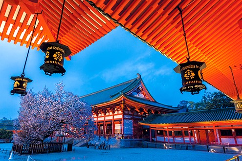 heian jingu, lâu đài nijo, kiyomizu-dera, con đường nakaraginomichi, chùa shoju-in, hoa anh đào, kyoto, sakura, nhật bản, kyoto – 5 địa điểm ngắm hoa anh đào đẹp nhất năm 2020