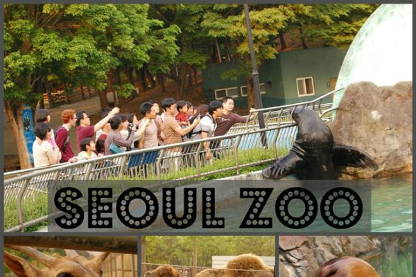 Vườn thú Seoul ngôi nhà chung của các loài động thực vật đa dạng.