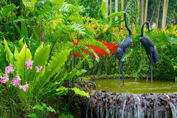 khám phá, trải nghiệm, vườn bách thảo singapore