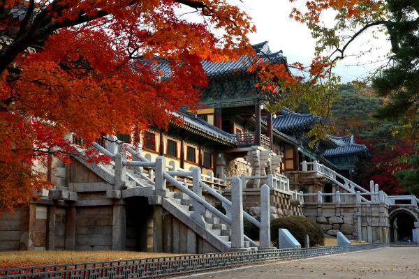 Chùa Bulguksa ngôi chùa cổ nhất Hàn Quốc