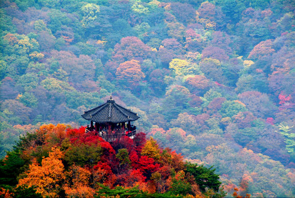 Ngỡ ngàng mùa thu lá đỏ ở núi Seorak Hàn Quốc