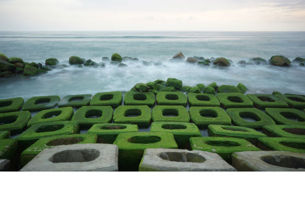 Thiên đường rêu xanh kè chắn sóng Xóm Rớ ở Phú Yên