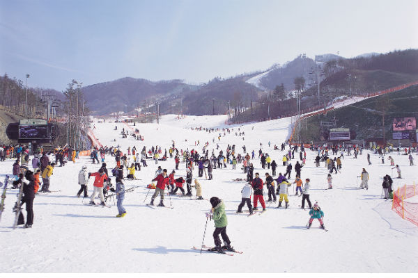 Trải nghiệm trượt tuyết mùa đông ở Hàn Quốc