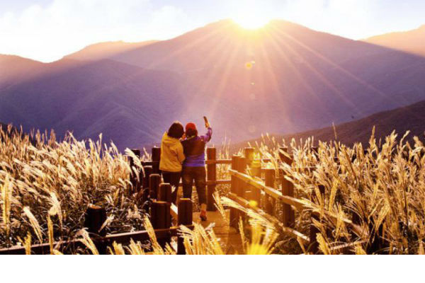 Núi Mindungsan Hàn Quốc cánh đồng cỏ lau đẹp nhất