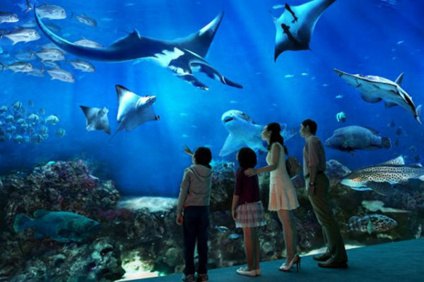 khám phá, trải nghiệm, thủy cung s.e.a  aquarium singapore