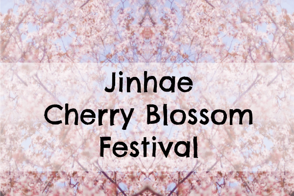 Lễ hội hoa anh đào ở Jinhae tháng 4