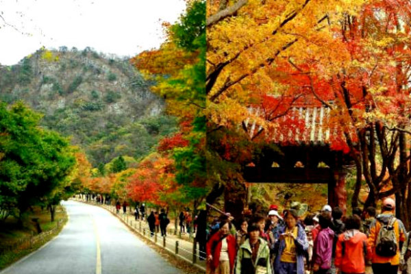 Địa điểm tham quan khi du lịch Hàn Quốc vào mùa thu